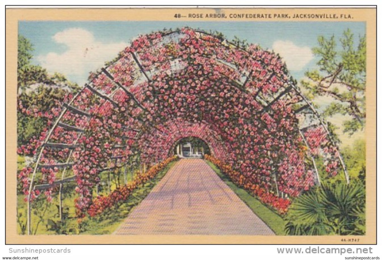 Florida Jacksonville Rose Arbor Confederate Park Curteich - Jacksonville