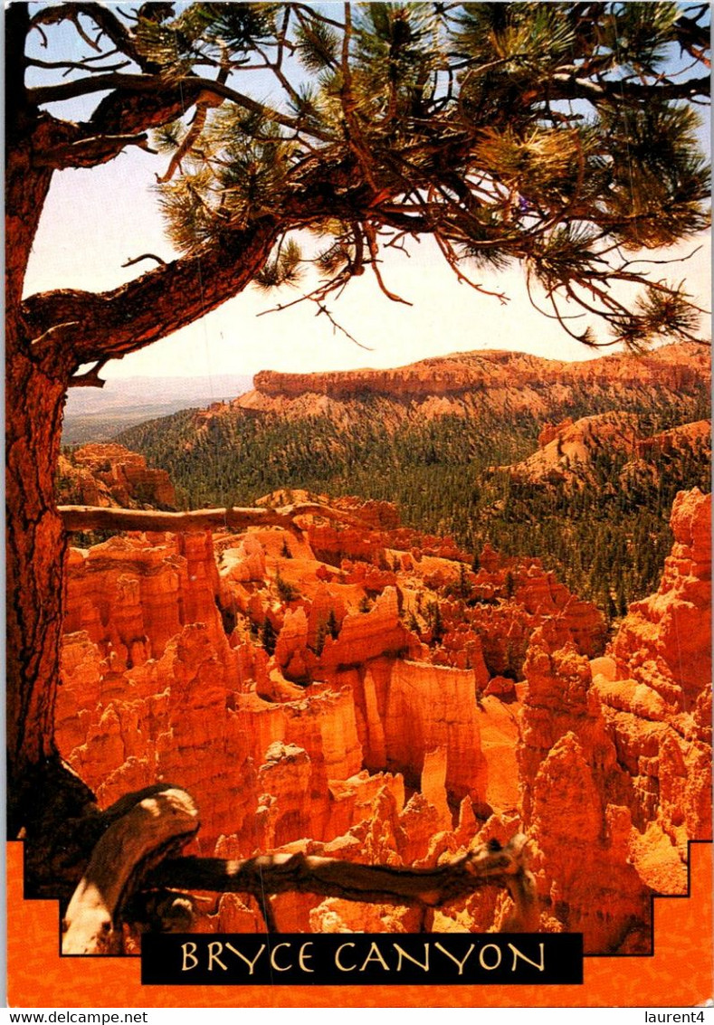 (2 H 37) USA - Bryce Canyon (Utah) - Bryce Canyon