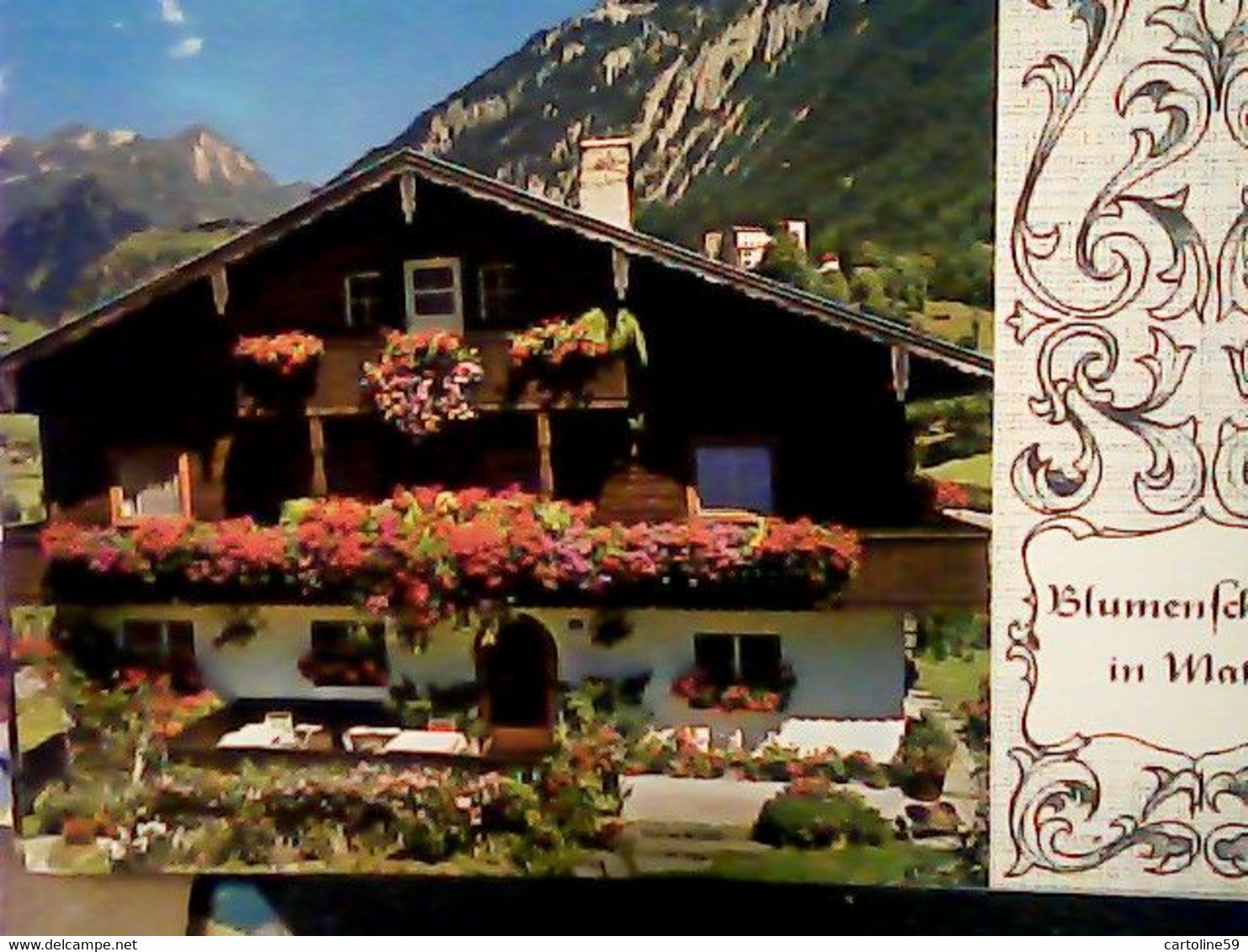 AUSTRIA Matrei Osttirol Blumenschmuck Ornament Alpen Matrei VB1980  IP7696 - Matrei In Osttirol