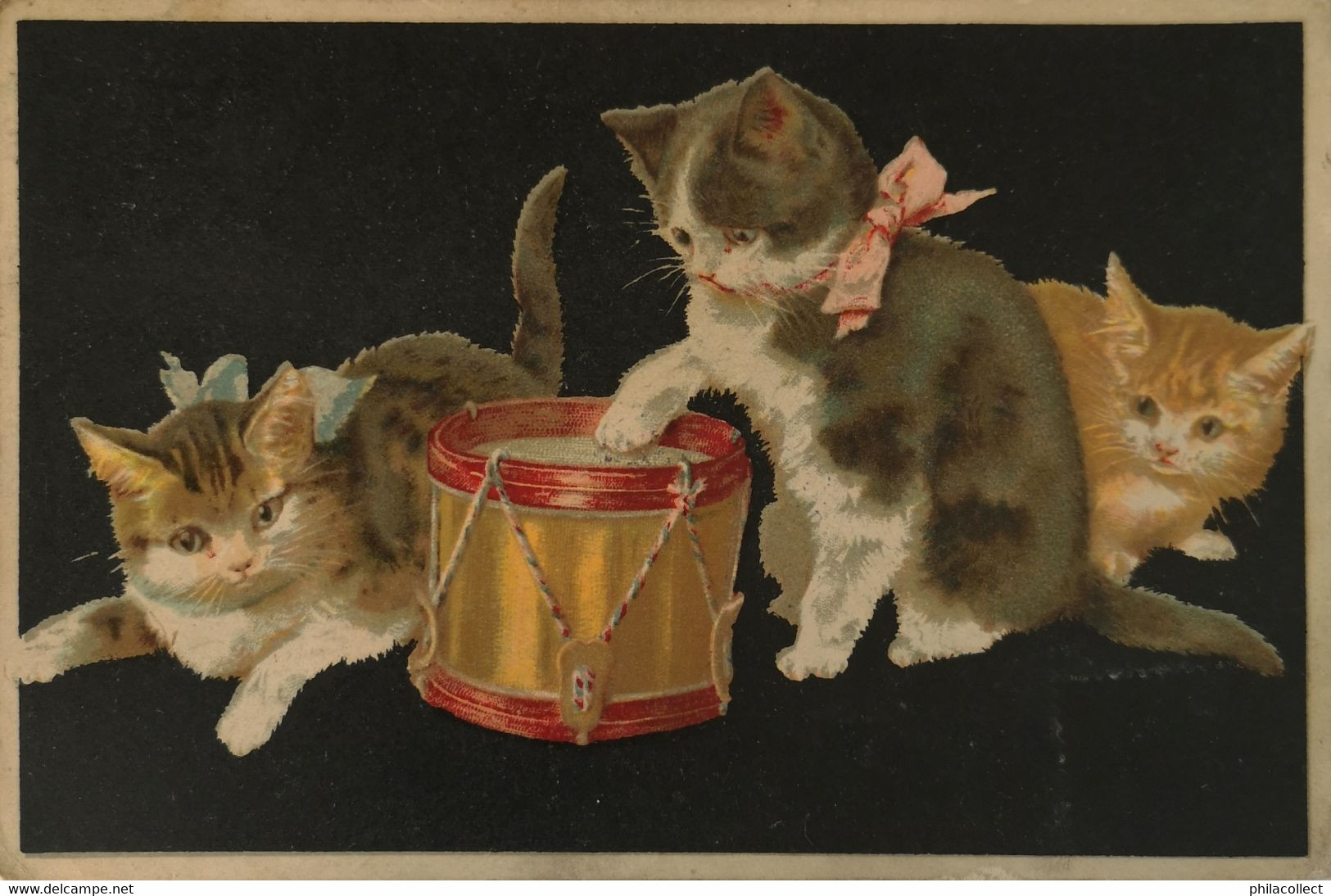 Cats - Katze - Katten - Kittens With Drum 19?? - Katzen
