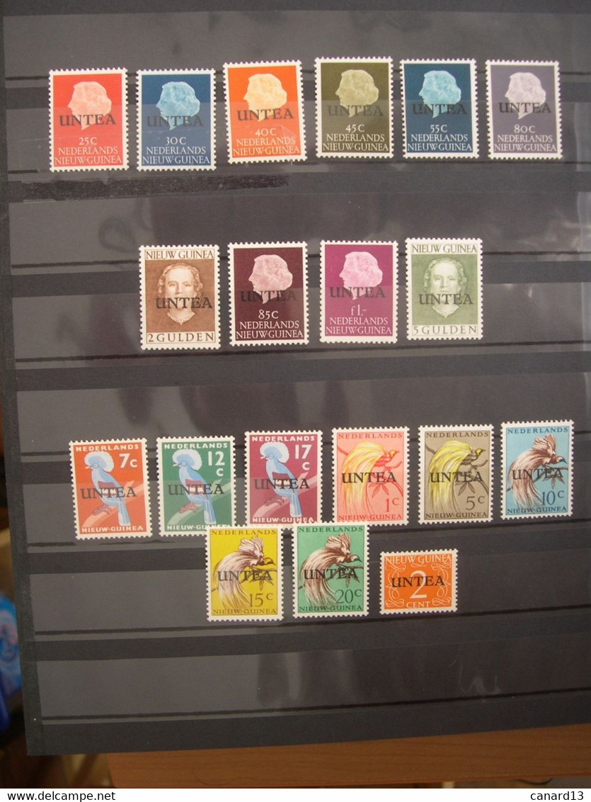 Nations Unies Nouvelle Guinée Hollandaise N° 1/19 Neuf** - Unused Stamps