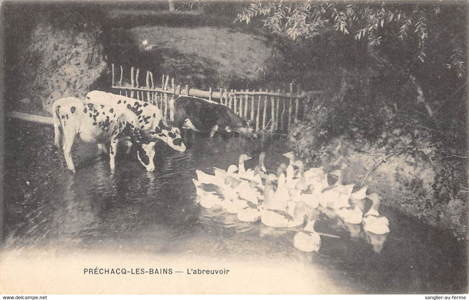 CPA 40 PRECHACQ LES BAINS ABREUVOIR - Autres & Non Classés