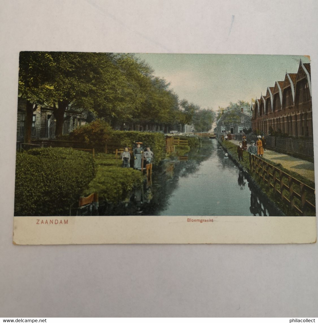 Zaandam // Bloemgracht (Kleur!) 1914 - Zaandam