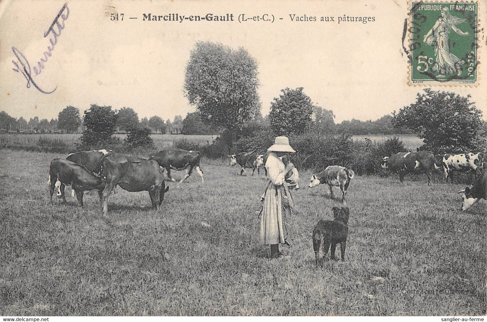 CPA 41 MARCILLY EN GAULT VACHES AU PATURAGES - Other & Unclassified