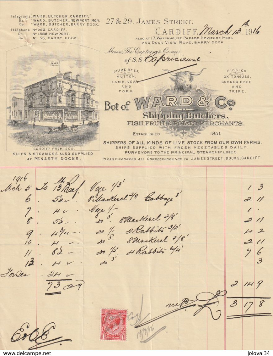 Royaume Uni Facture Illustrée Boeuf 13/3/1916 Bot Of WARD Shipping Butchers Fish  CARDIFF - Transport Bateau Capricieuse - Royaume-Uni