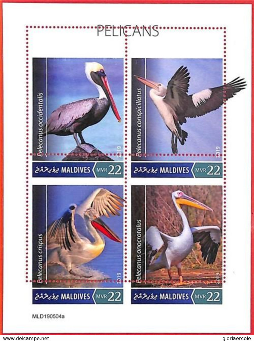 A4030 - MALDIVES - ERROR MISPERF, Miniature Sheet: 2019, Pelicans, Birds - Pélicans