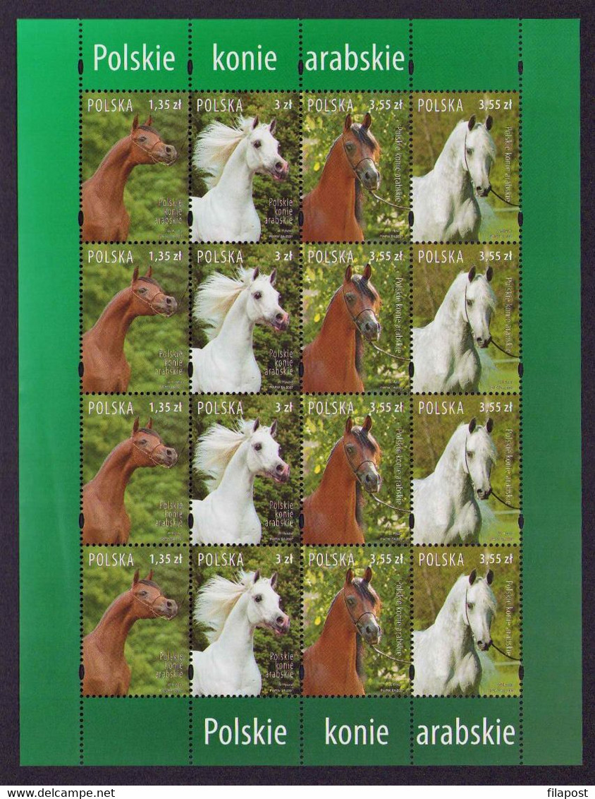 POLAND 2007 Mi 4323-26 Polish Arabian Horses, Studs Champions, Animals, Exellent Racers. Souvenir Sheet MNH** - Feuilles Complètes