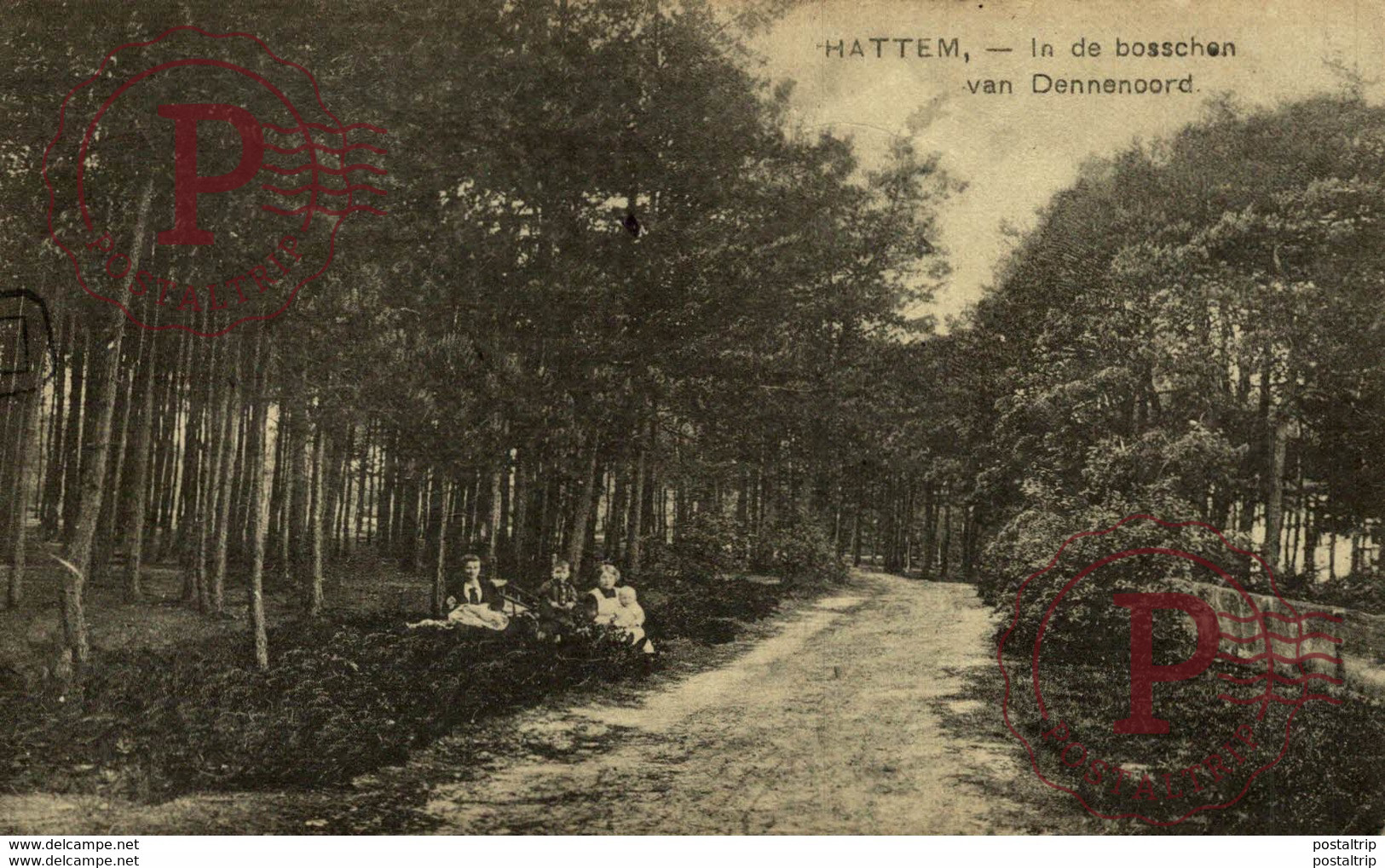 HATTEM IN DE BOSSCHEN VAN DENNENOORD - Hattem