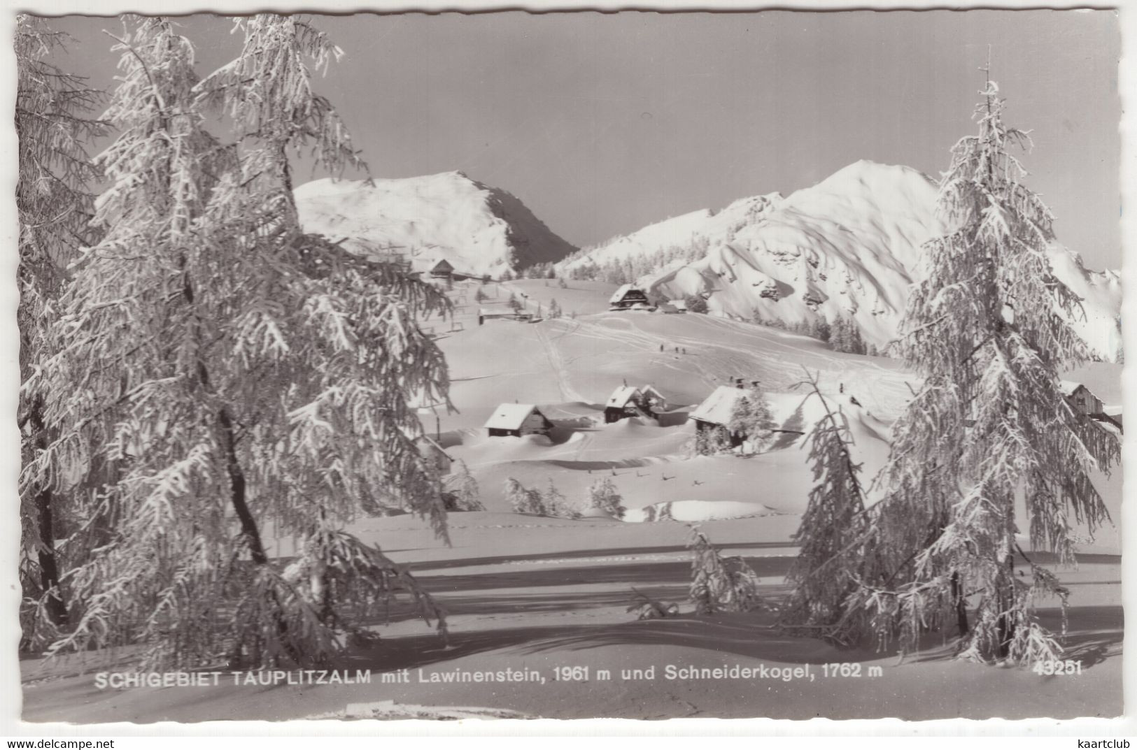 Schigebiet Tauplitzalm Mit Lawinenstein, 1961 M Und Schneiderkogel, 1782 M - (Österreich / Austria) - Tauplitz