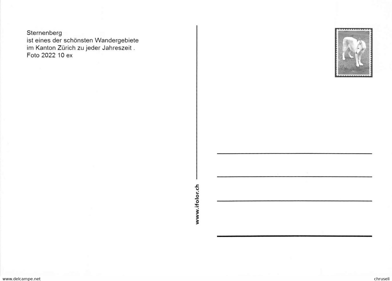 Sternenberg ZH 3 Bild Postauto  H  Limitierte Auflage! - Sternenberg