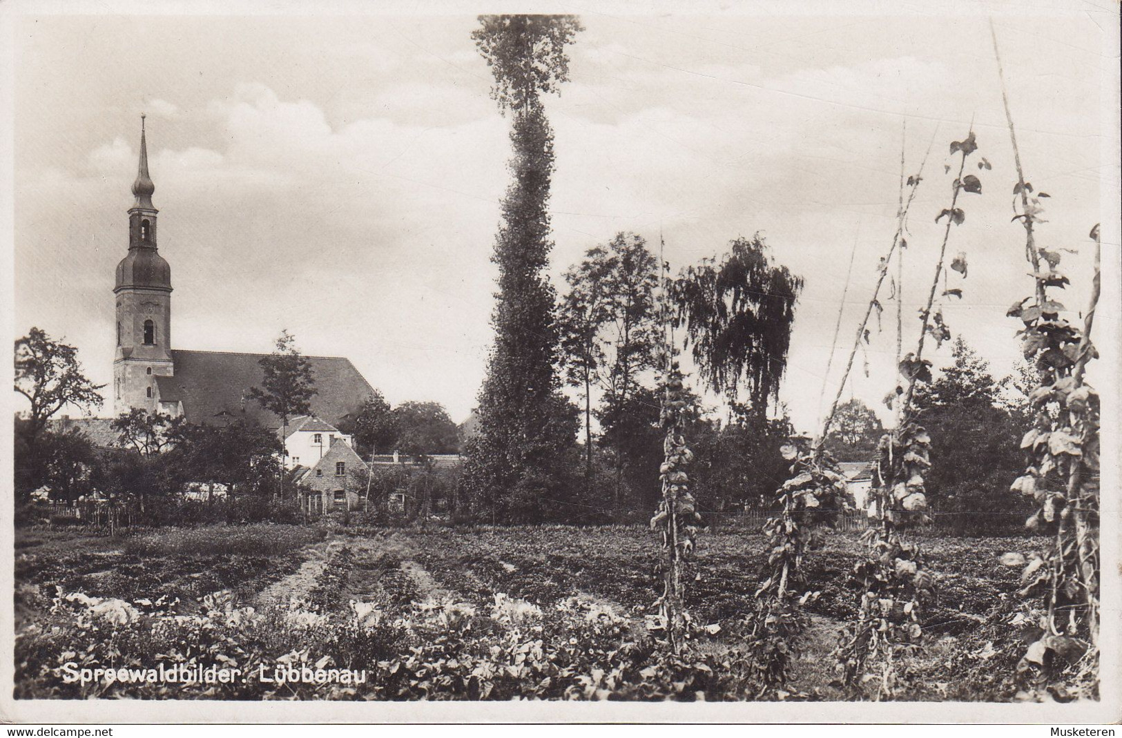 Deutsches Reich PPC Lübbenau - Spreewaldbilder 1929 Arthur Redecker Berlin-Tempelhof Echte Real Photo Véritable (2 Scans - Luebbenau