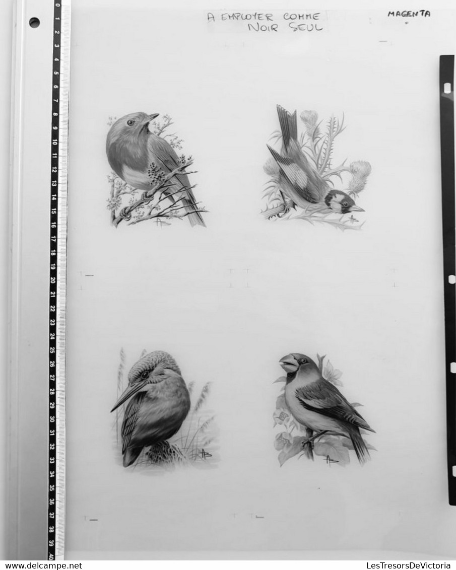 Oiseaux D'André BUZIN - Planche D'impression ORIGINALE COB 2189/90 , 2223 Et 2240 - Calque 40x30cm - Genèse - Essai - 1985-.. Uccelli (Buzin)