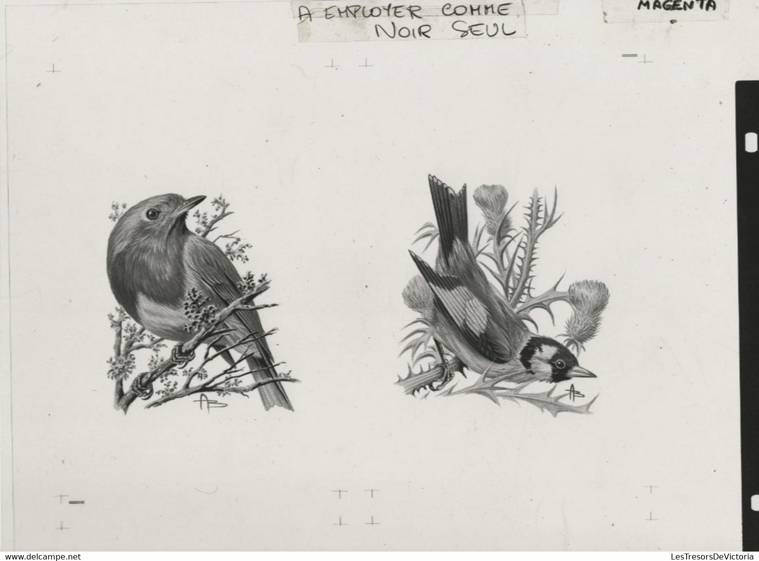 Oiseaux D'André BUZIN - Planche D'impression ORIGINALE COB 2189/90 , 2223 Et 2240 - Calque 40x30cm - Genèse - Essai - 1985-.. Uccelli (Buzin)