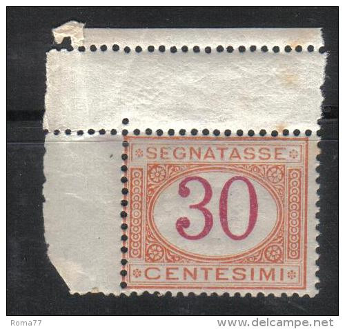 SS1076 - REGNO 1890, Segnatasse Il 30 Cent N. 23  ***  MNH - Portomarken