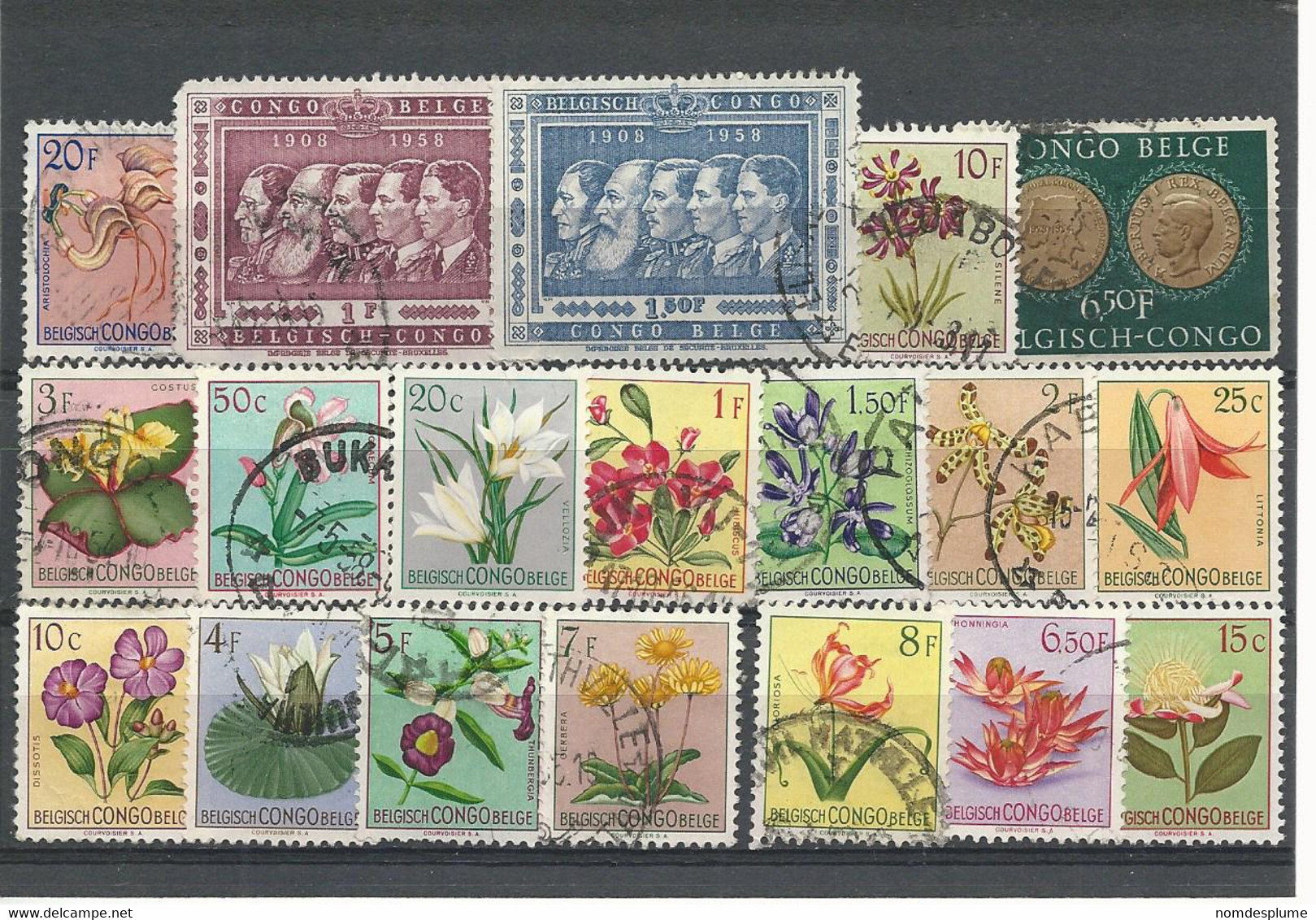 32448) Congo Collection - Sammlungen