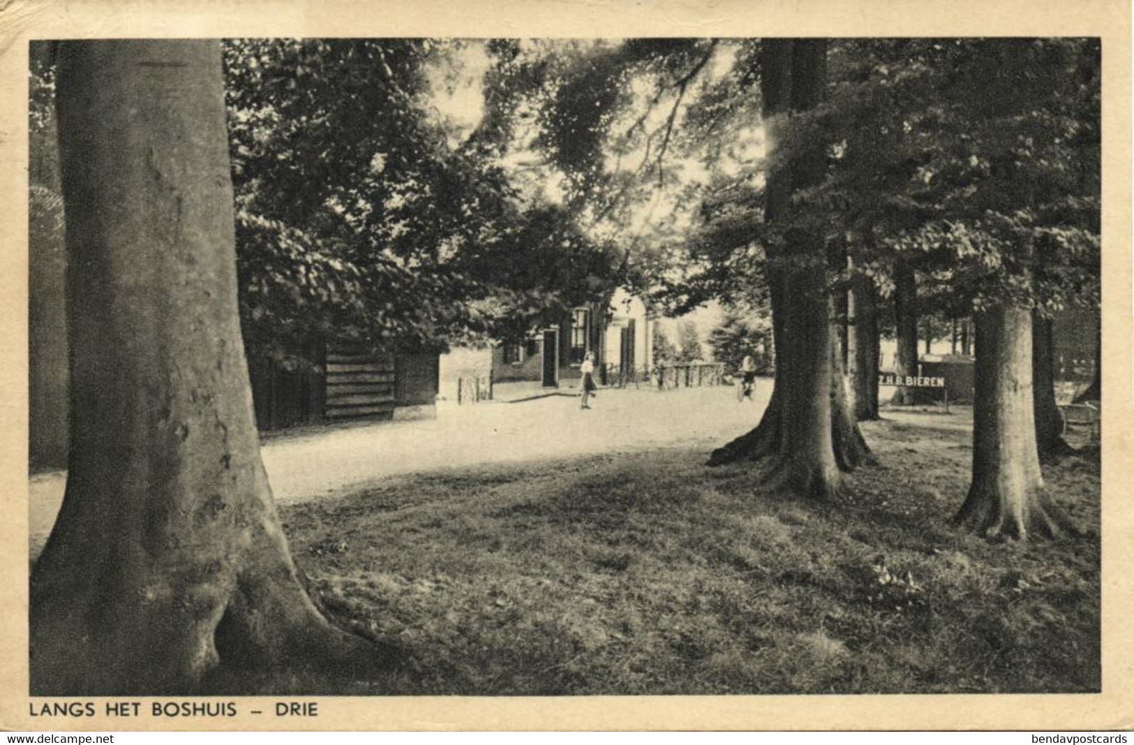 Nederland, ERMELO, Drie, Langs Het Boshuis (1964) Ansichtkaart - Ermelo