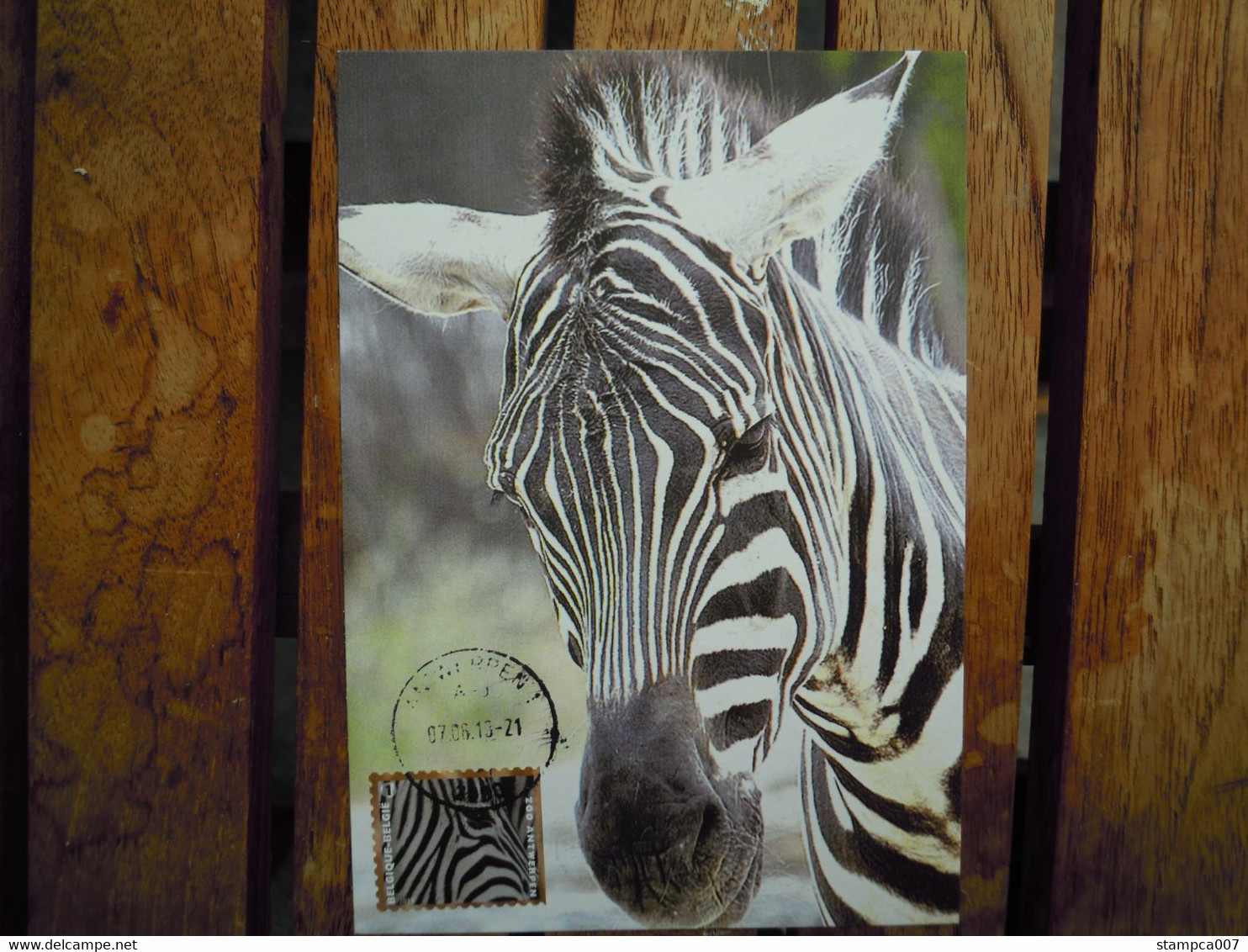 OCB Nr 4345 Fauna Zebra Zoo    Carte Maximum - 2011-..