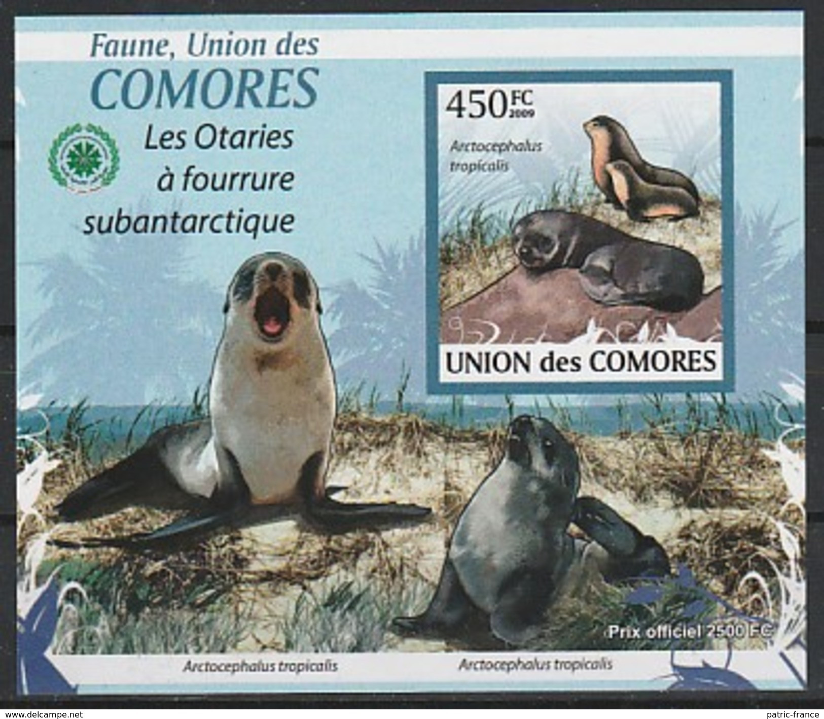COMORES 2009 -  Les Otaries à Fourrure Sub Antarctique - 3 Blocs ND - Fauna Antartica
