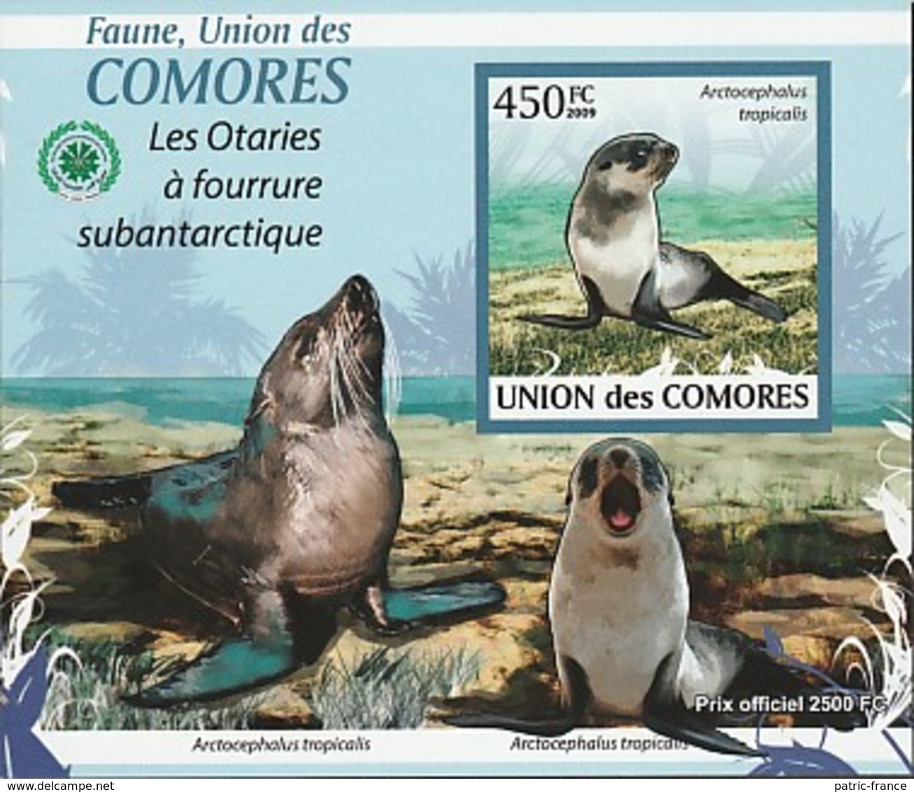 COMORES 2009 -  Les Otaries à Fourrure Sub Antarctique - 3 Blocs ND - Fauna Antartica