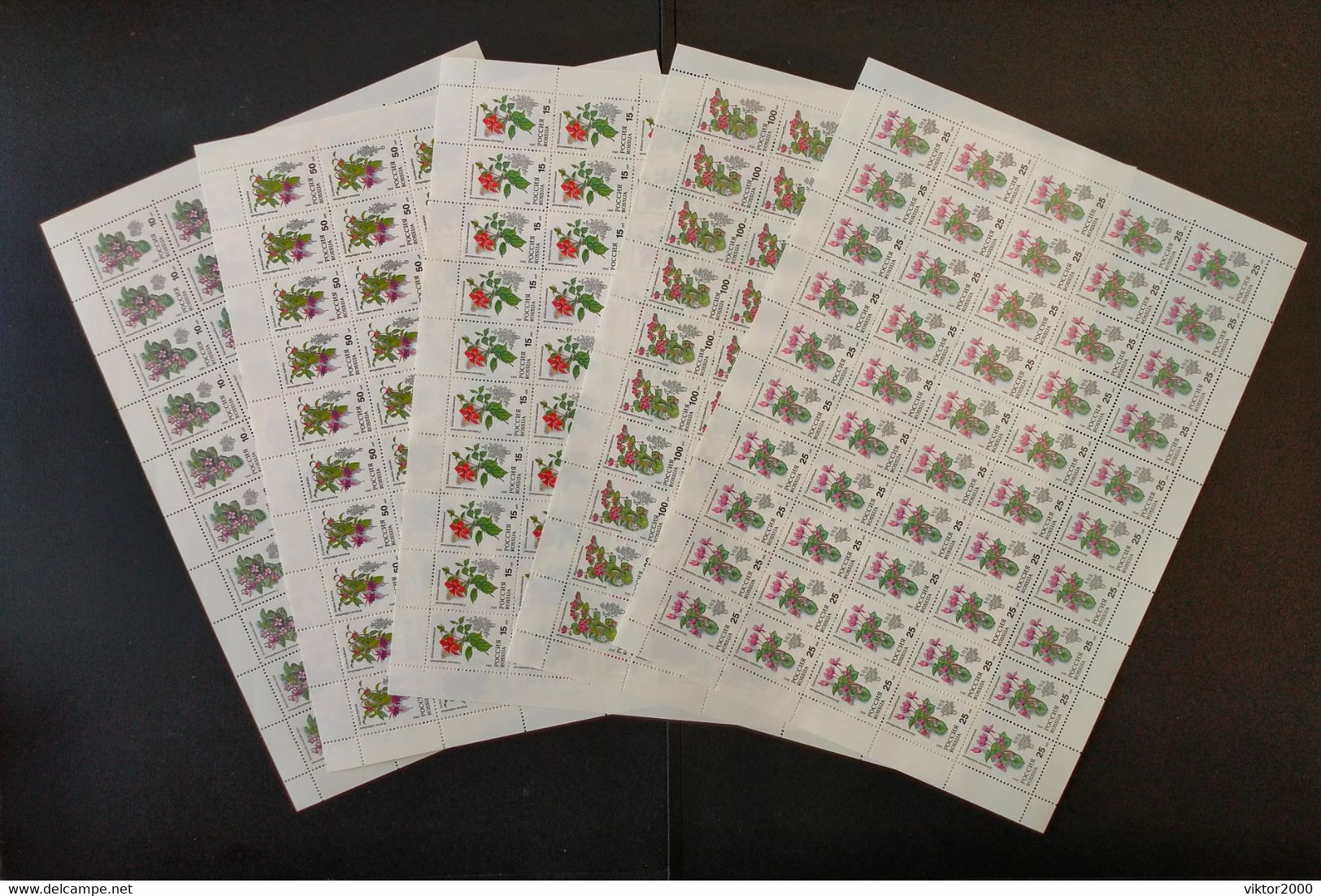 RUSSIA MNH (**)1993 Pot Plants   Mi 296-300 - Fogli Completi