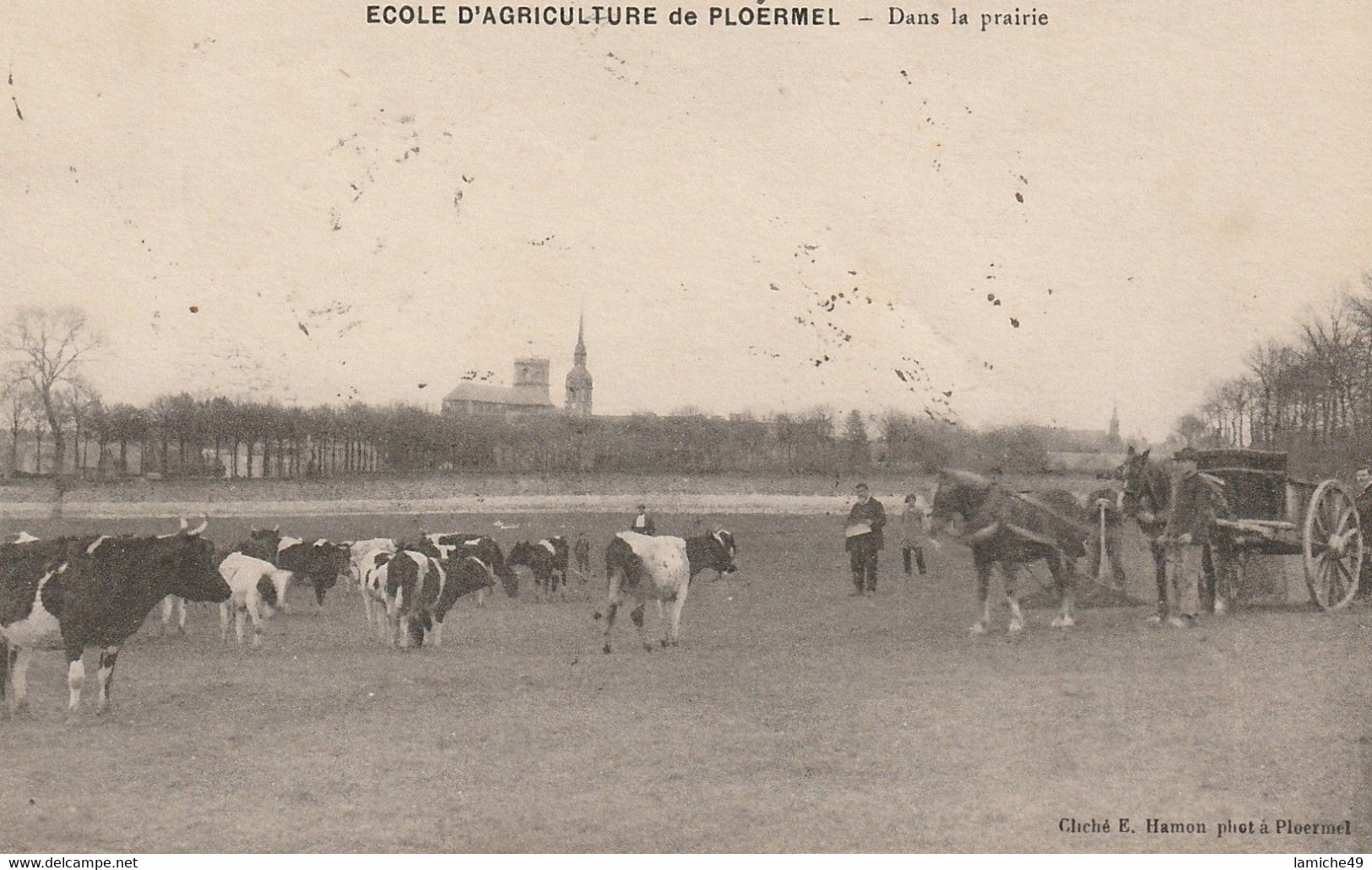 PLOERMEL ECOLE AGRICULTURE DANS LA PRAIRIE ATTELAGE CHEVAUX VACHES Timbre 19236 Semeuse Verte 10c - Pont Scorff