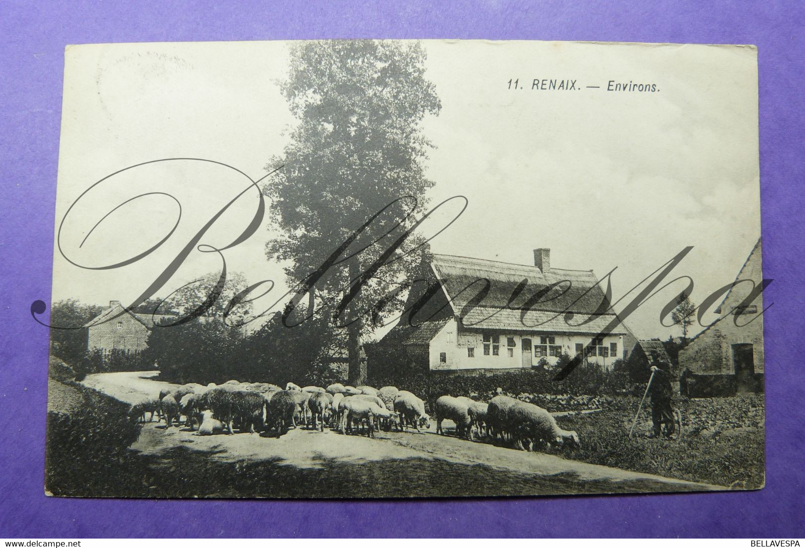 Ronse Schaapherder Berger -Hoeve Uitg. A.De Bo - Ronse