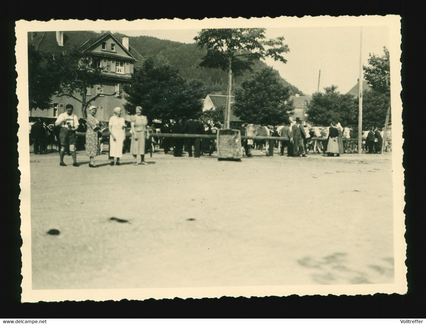 Orig. Foto 1938 Haslach / Freiburg Kinzigtal Viehmarkt, Bauernmarkt, Kühe - Haslach