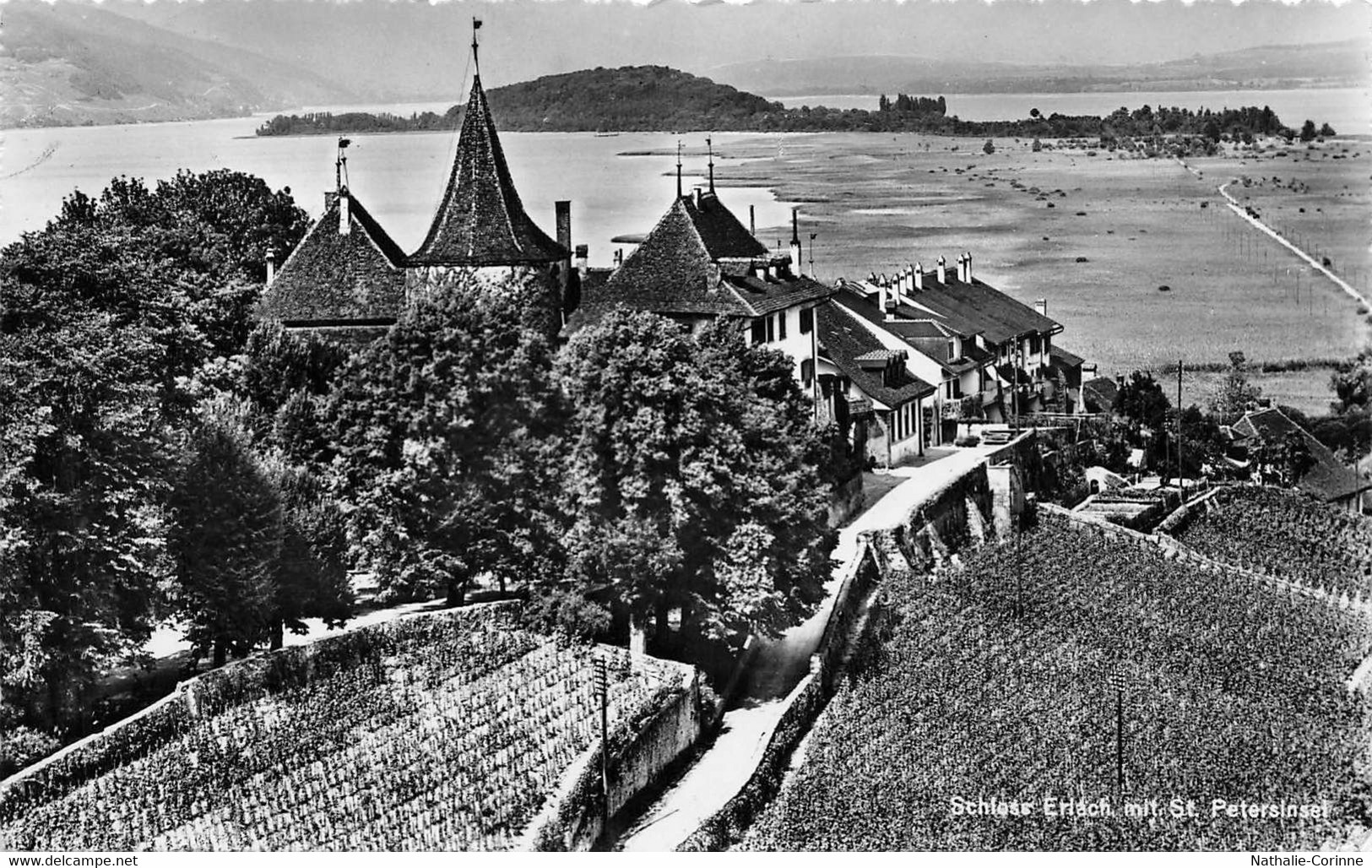 Schloss Erlach Mit St. Petersinsel / Château De Cerlier Et L'Ile De St. Pierre - Cerlier