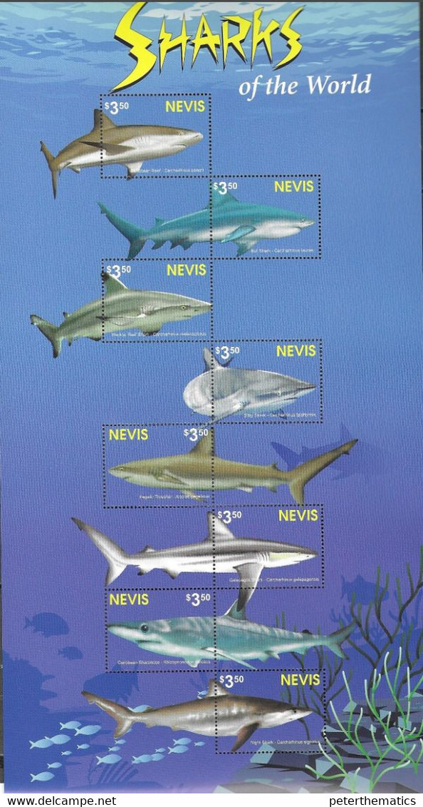 NEVIS, 2021, MNH, SHARKS, MARINE LIFE, SHEETLET+S/SHEET , HIGH FV - Vissen