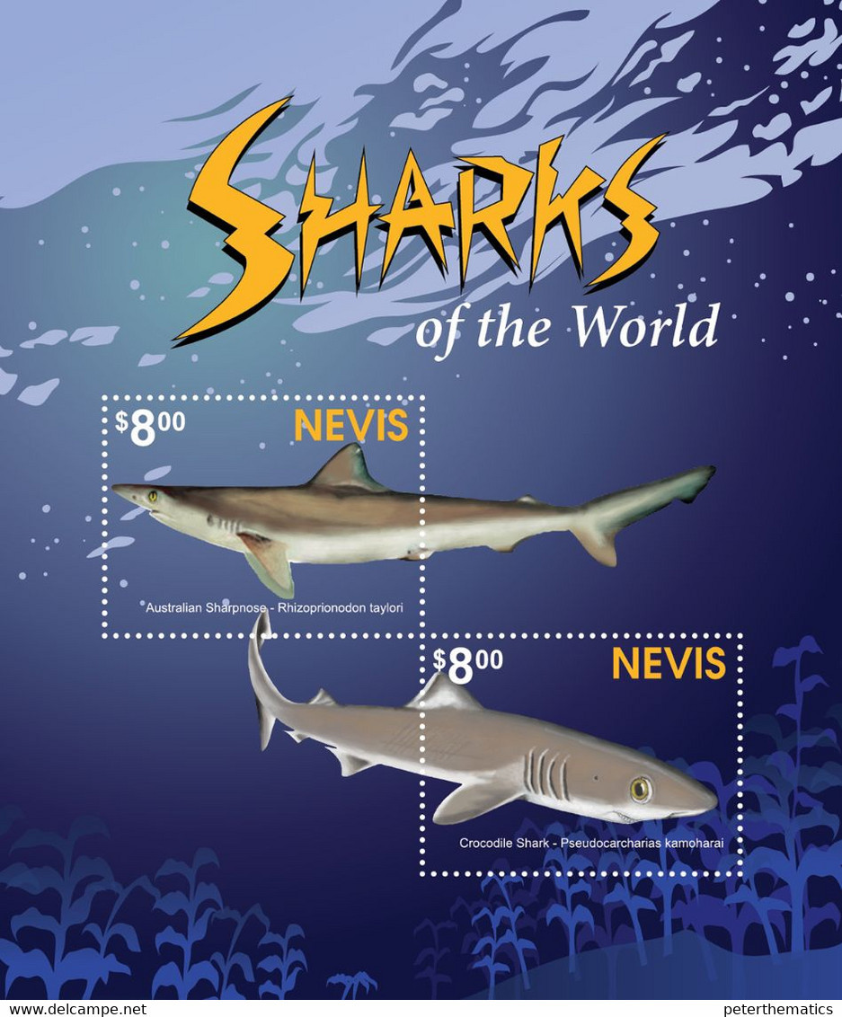 NEVIS, 2021, MNH, SHARKS, MARINE LIFE, SHEETLET+S/SHEET , HIGH FV - Vissen