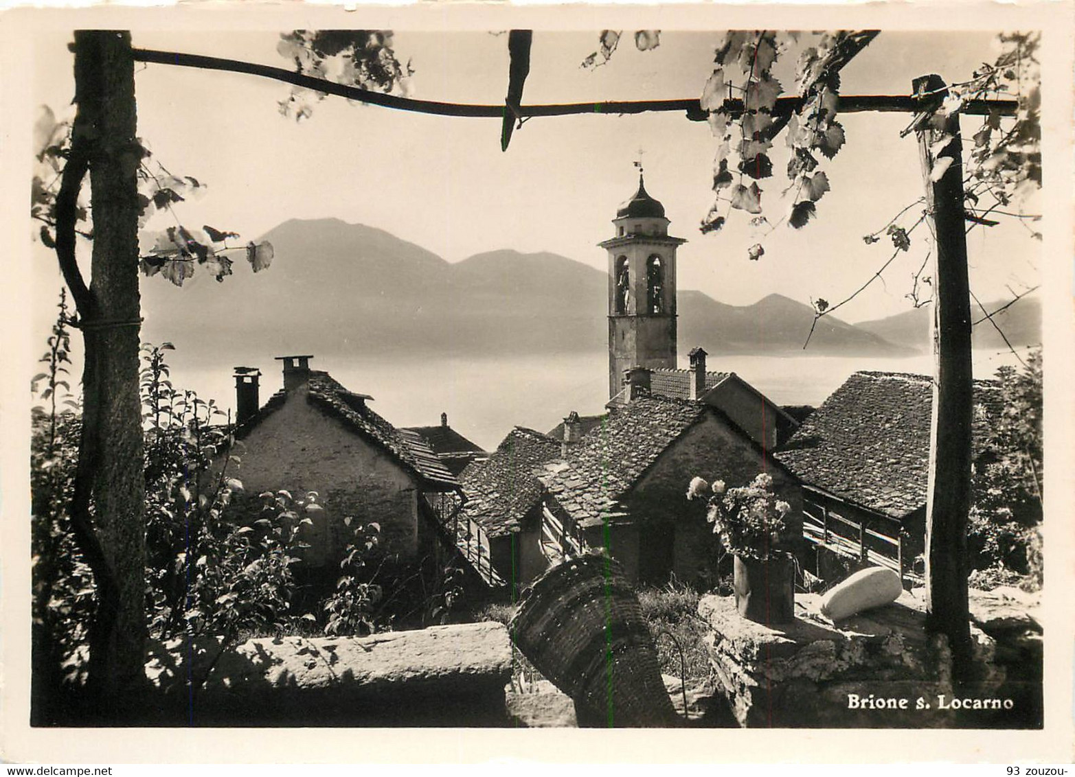 Cpsm Photo Grand Format Suisse BRIONE S. Locarno - Brione Sopra Minusio