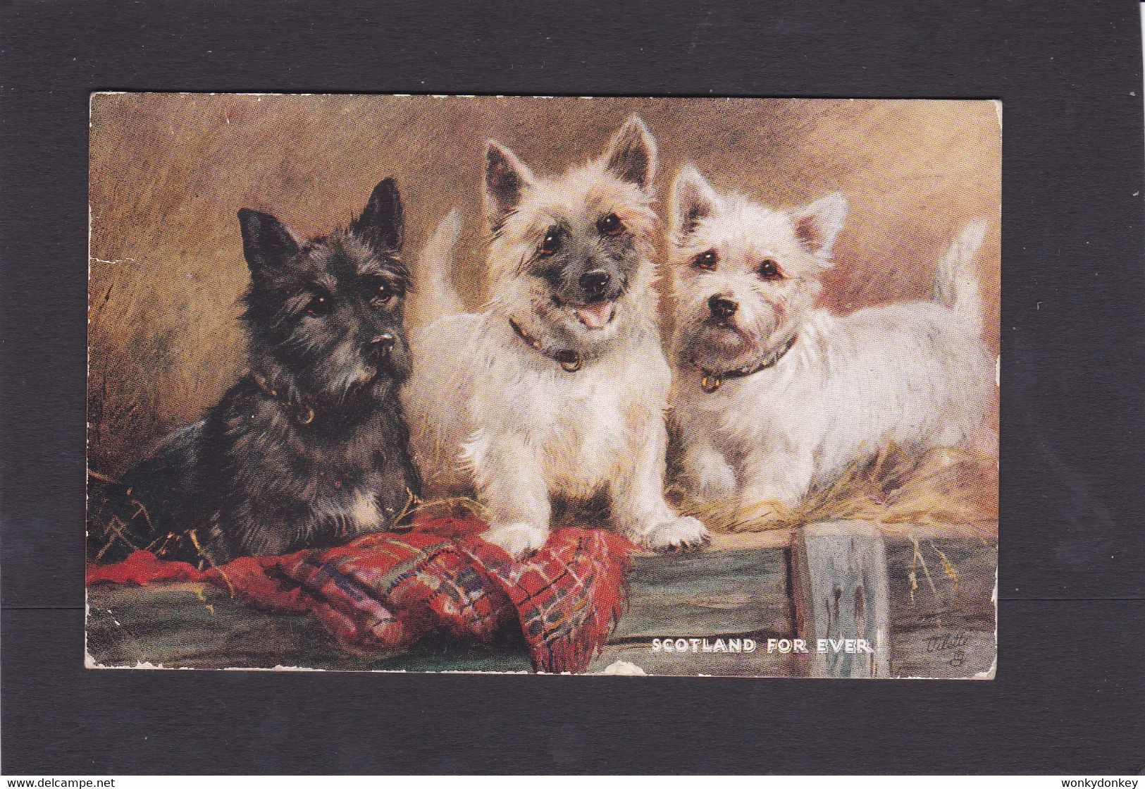 Dog Card  -   Scotland For Ever !!.   R Tuck..   (659). - Honden