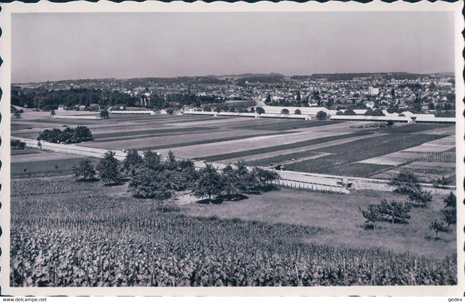 Lausanne Ecublens, Tir Fédéral 1954 (2048) - Écublens