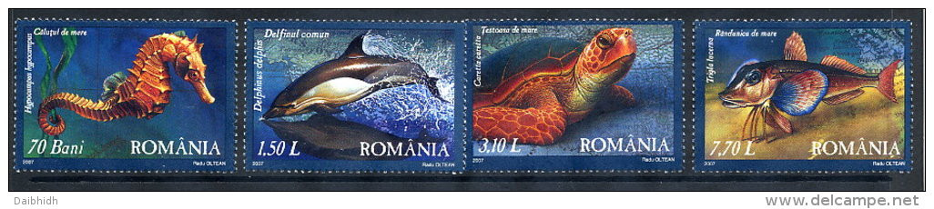 ROMANIA 2007 Black Sea Fauna Set Of 4 MNH / **.  Michel 6163-66 - Nuevos