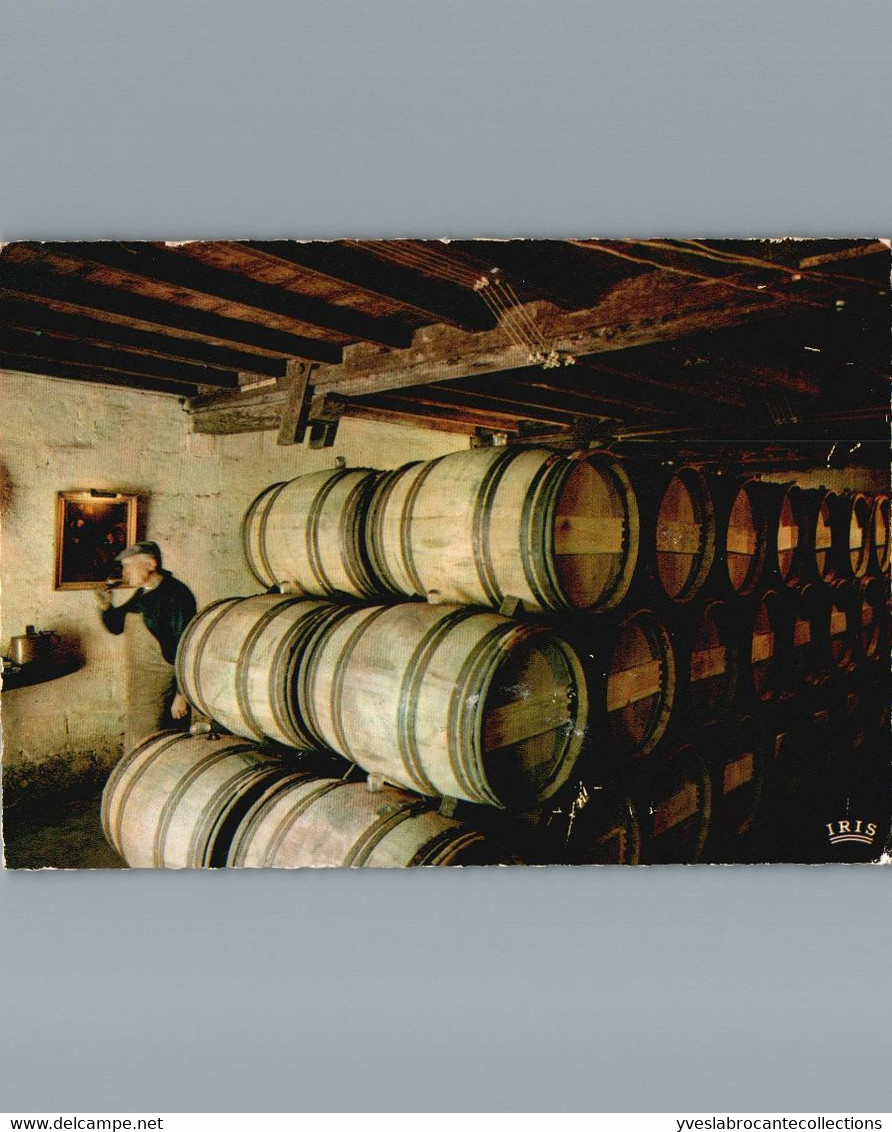 Cpsm Gd Format Dentelée - Au Pays Des Vins De Bordeaux - Un Intérieur De Chais - 1967 - Wijnbouw