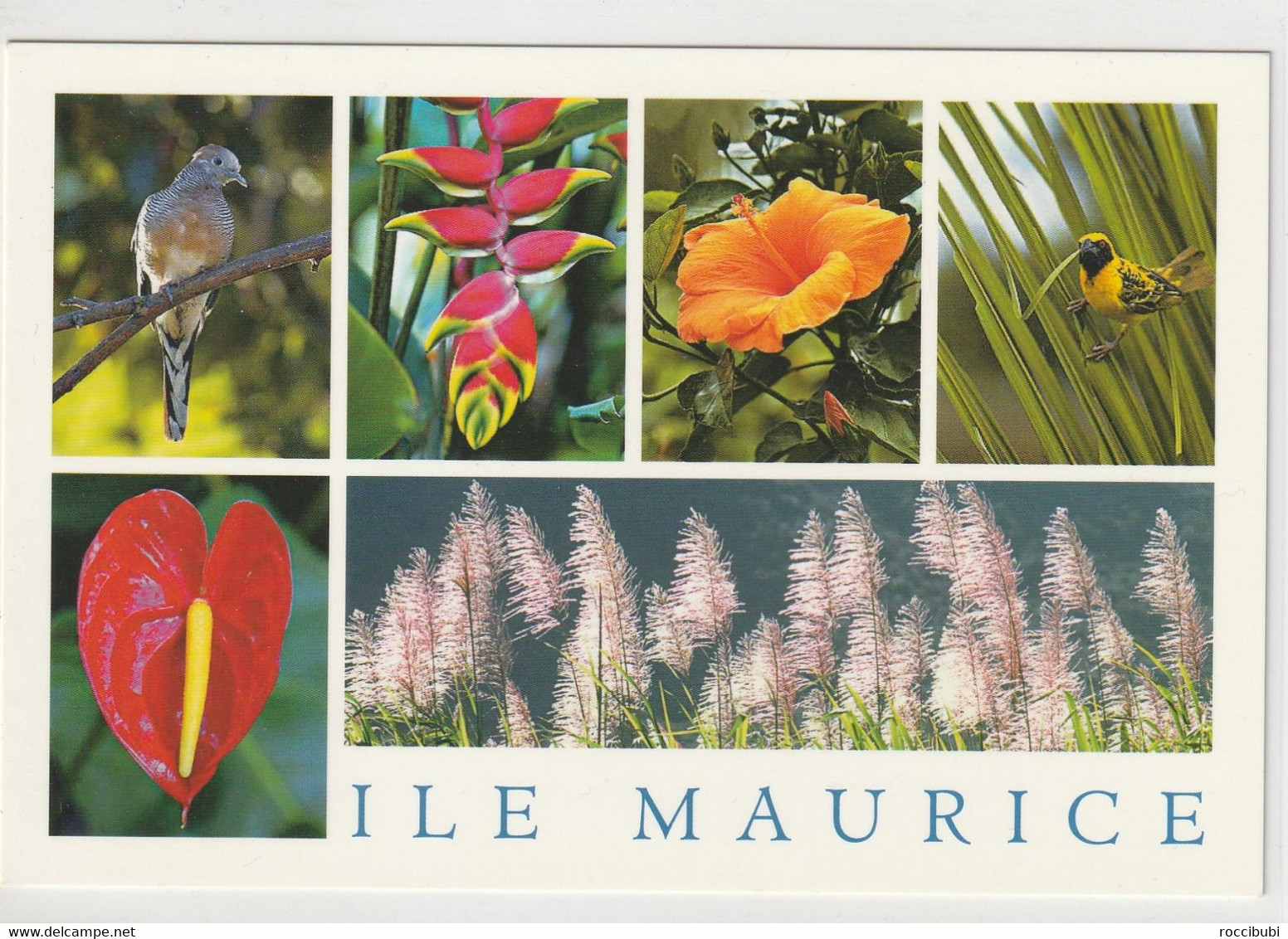 Mauritius, Maurice - Maurice