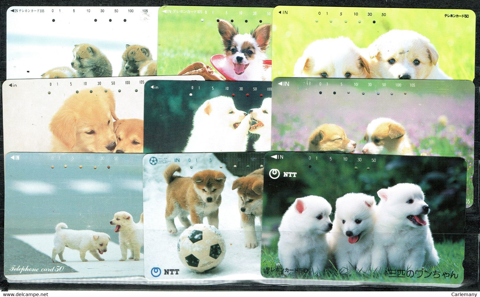 TELECARTES CHIENS CHIENS GOSSOS  9 DIFF. CHINA - Chiens