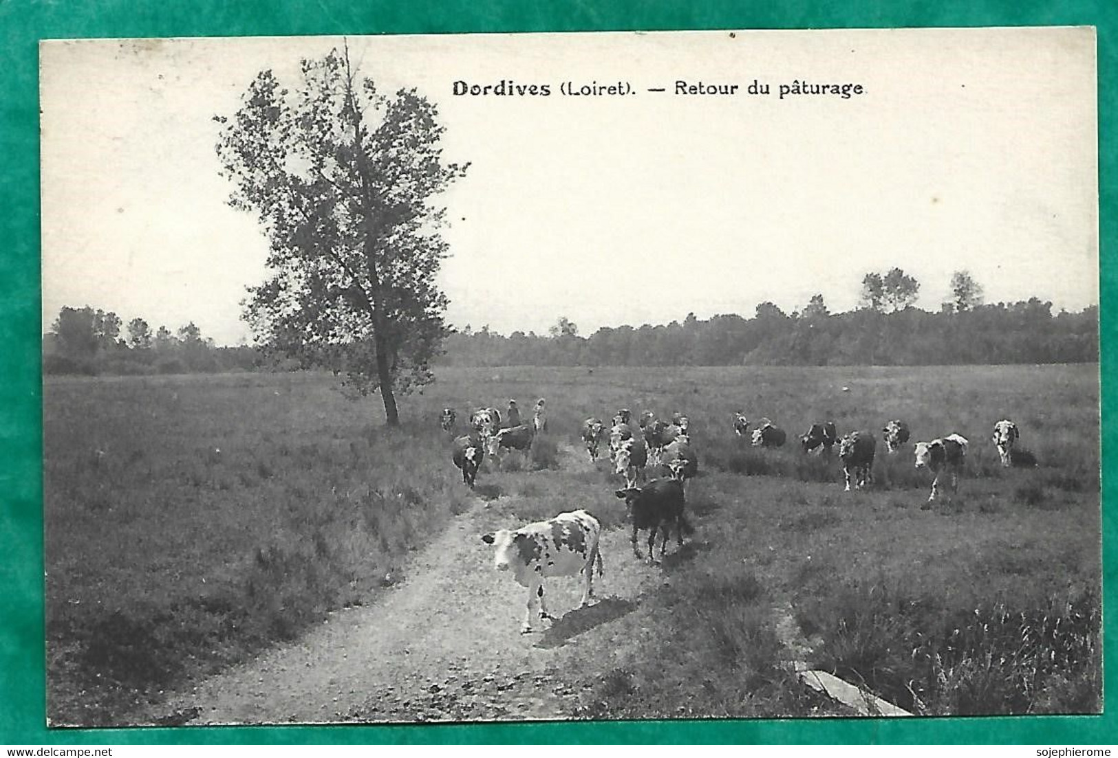 Dordives (45) Retour Du Pâturage 2scans Vaches Vachères 22-09-1941 - Dordives