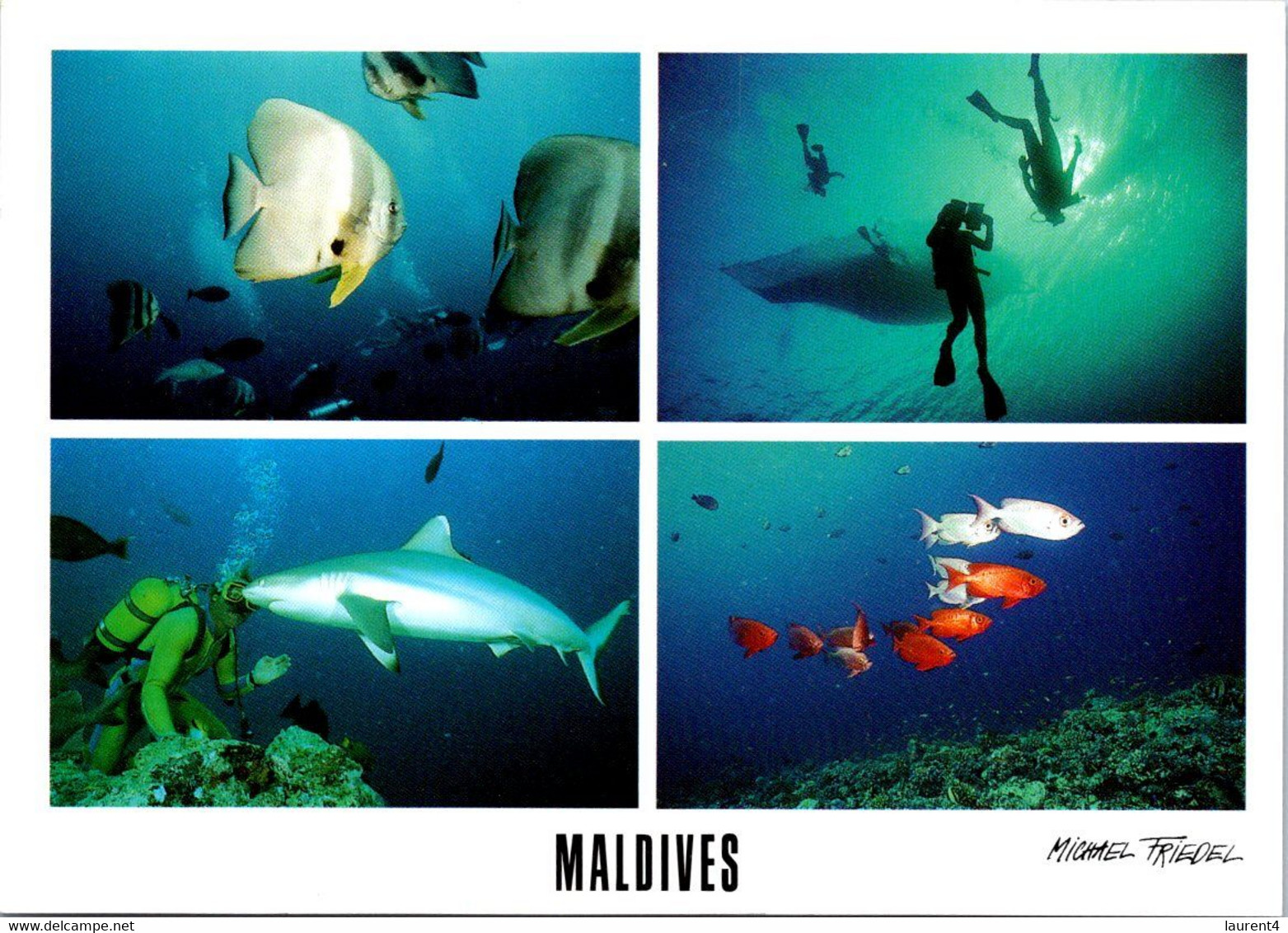 (2 F 51) Maldives Islands (2 Postcards) - Maldive