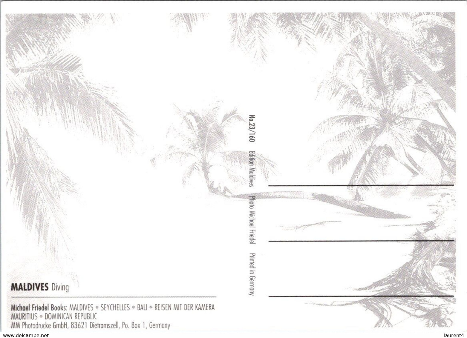 (2 F 51) Maldives Islands (2 Postcards) - Maldiven