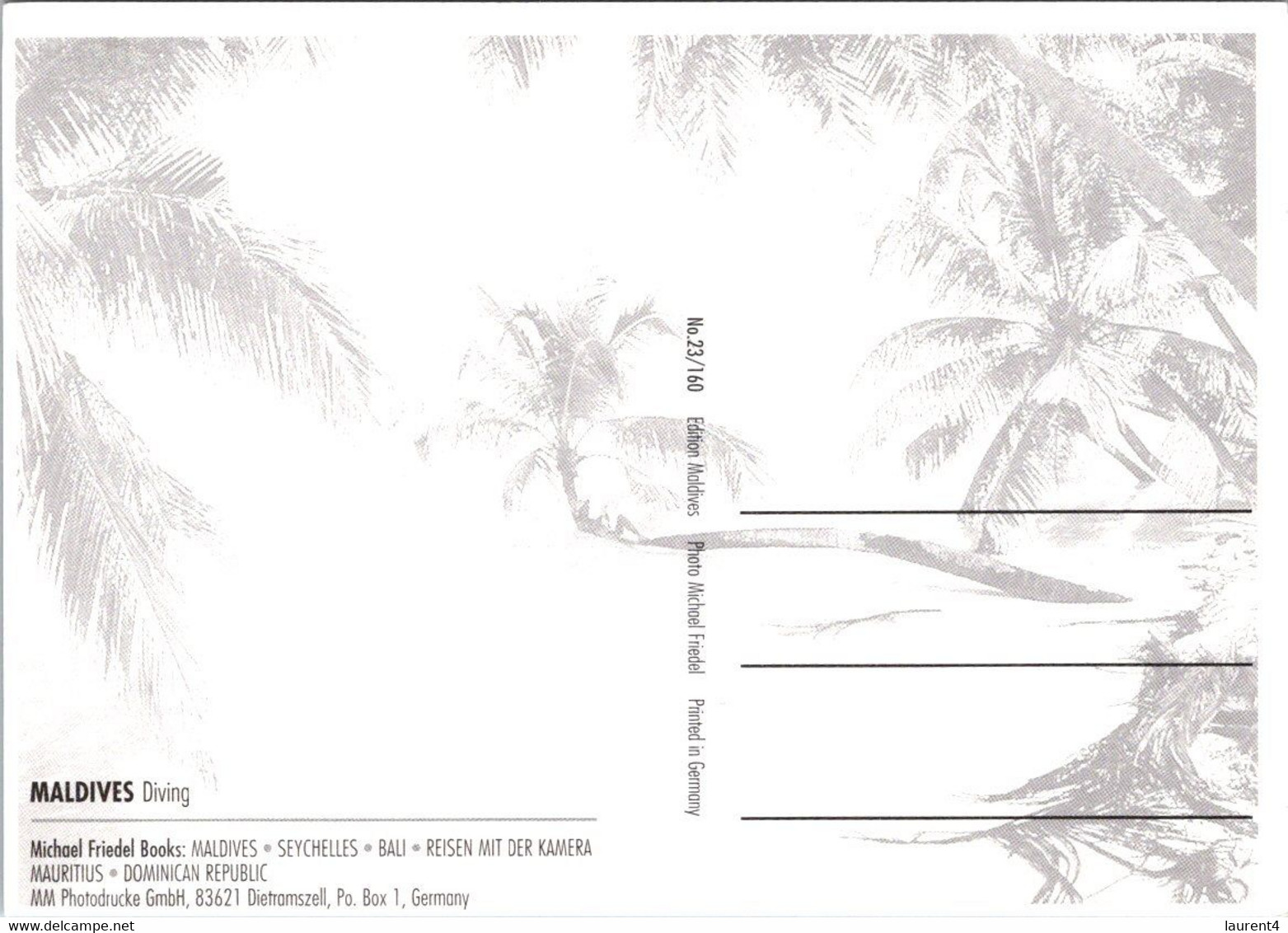 (2 F 51) Maldives Islands (2 Postcards) - Maldive