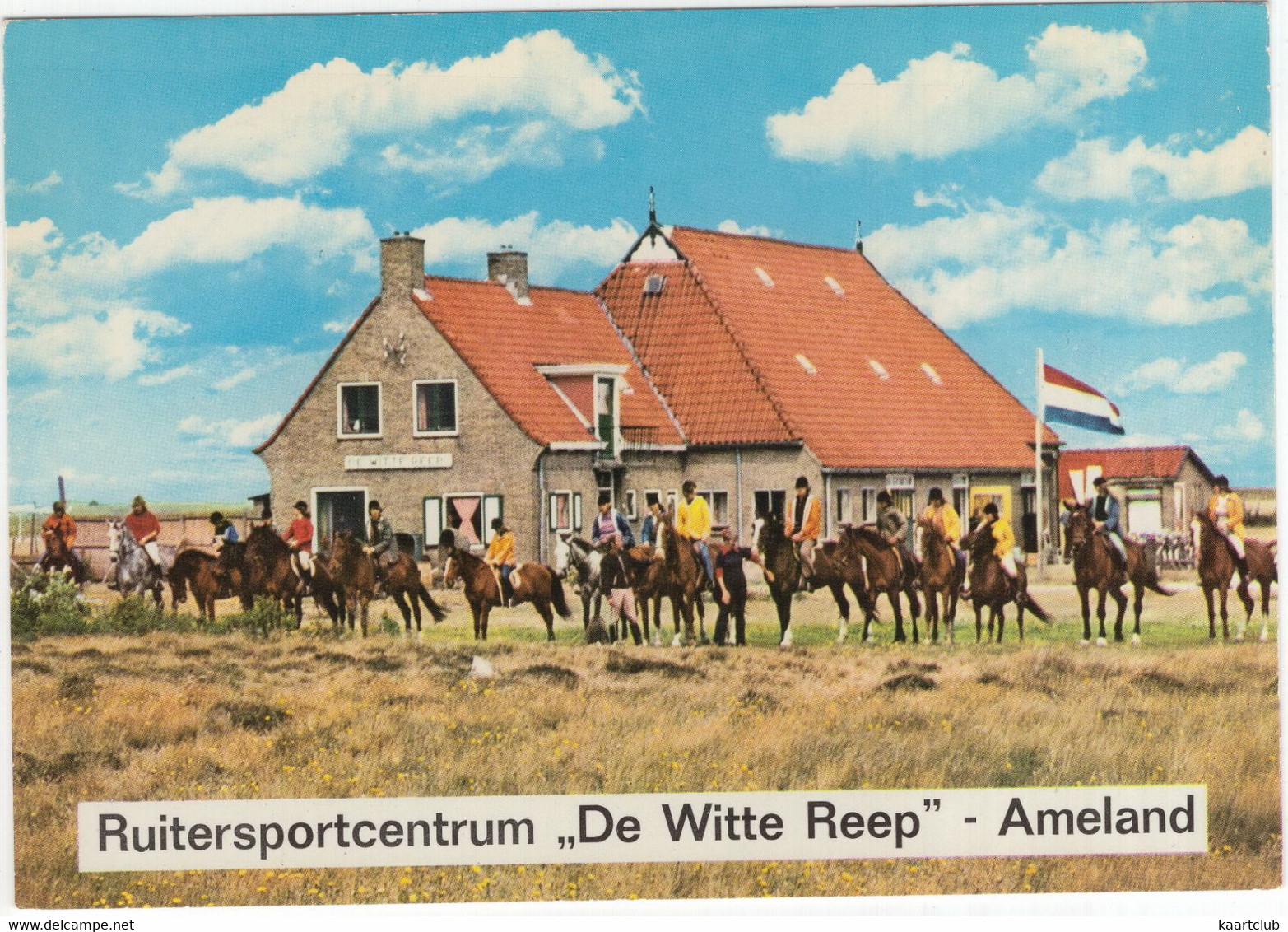 Hollum - Ameland - Ruitersportcentrum Boerderij  'De Witte Reep' - (Wadden, Nederland / Holland) - Ameland