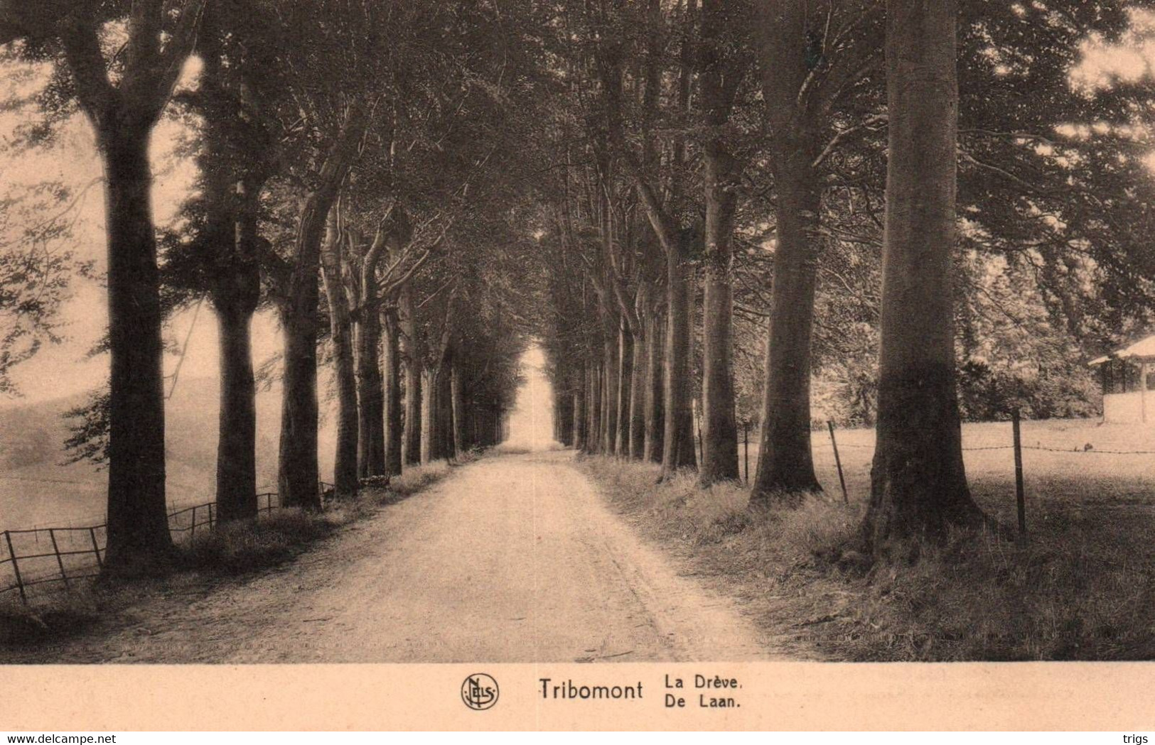 Tribomont - De Laan - Herve