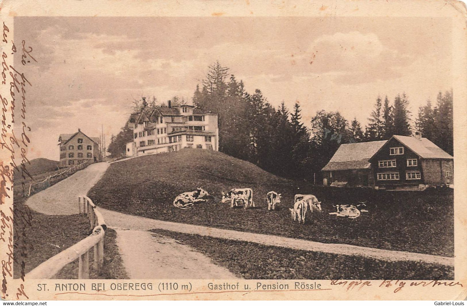 St. Anton Bei Oberegg Gasthof U. Pension Rössle - Kuhe 1916 - Oberegg