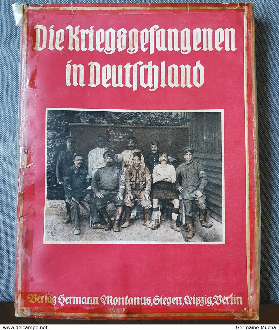 Livre DIE KRIEGSGEFANGENEN IN DEUTSCHLAND - 5. Guerres Mondiales