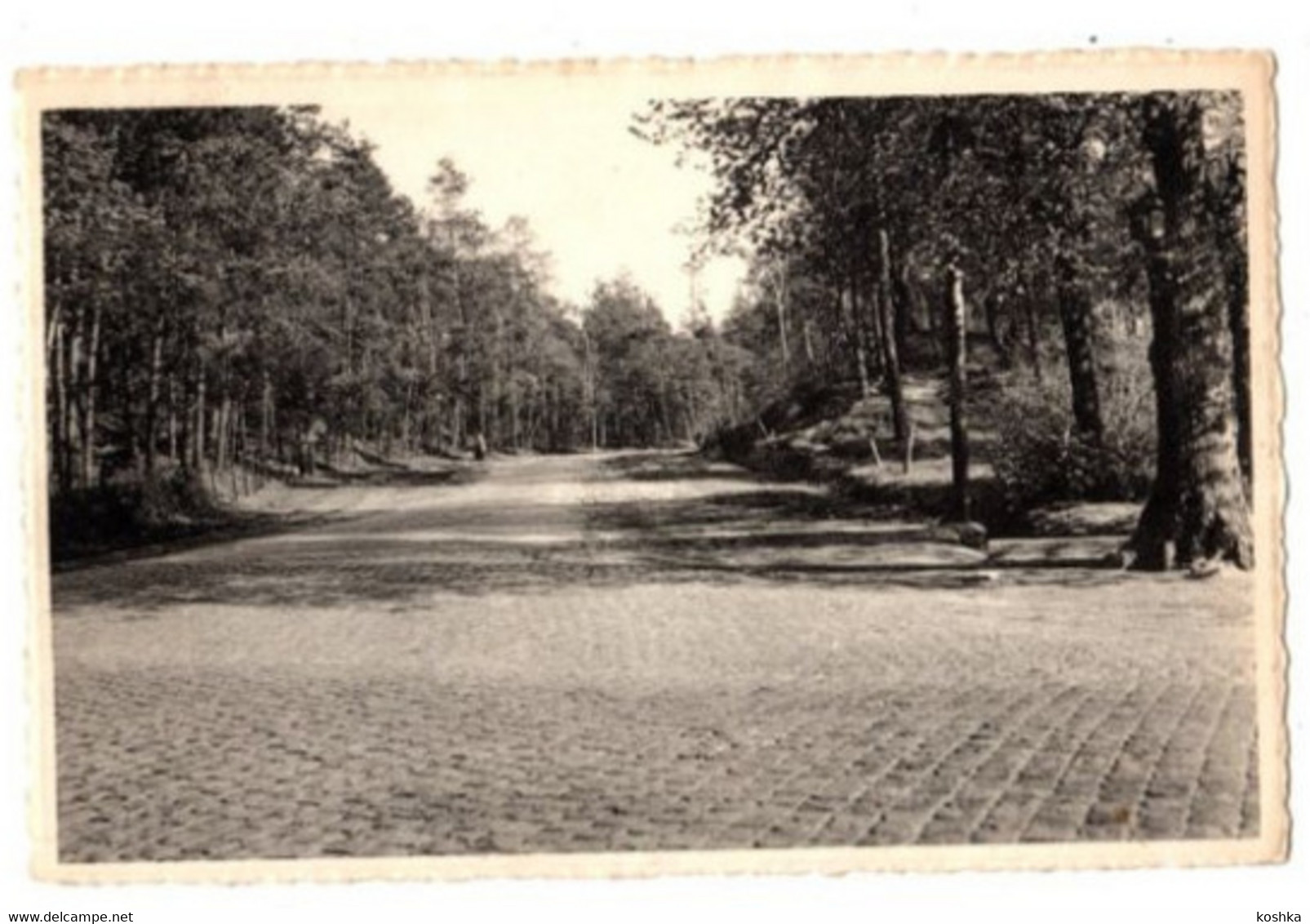 BOUWEL - De Lindekens - Kruispunt - Verzonden - Uitgave Nels - Grobbendonk