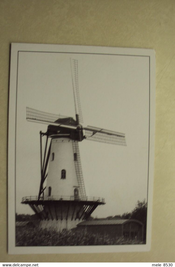 45993 - RUISLEDE - HOSTENS MOLEN - ZIE 2 FOTO'S - Ruiselede