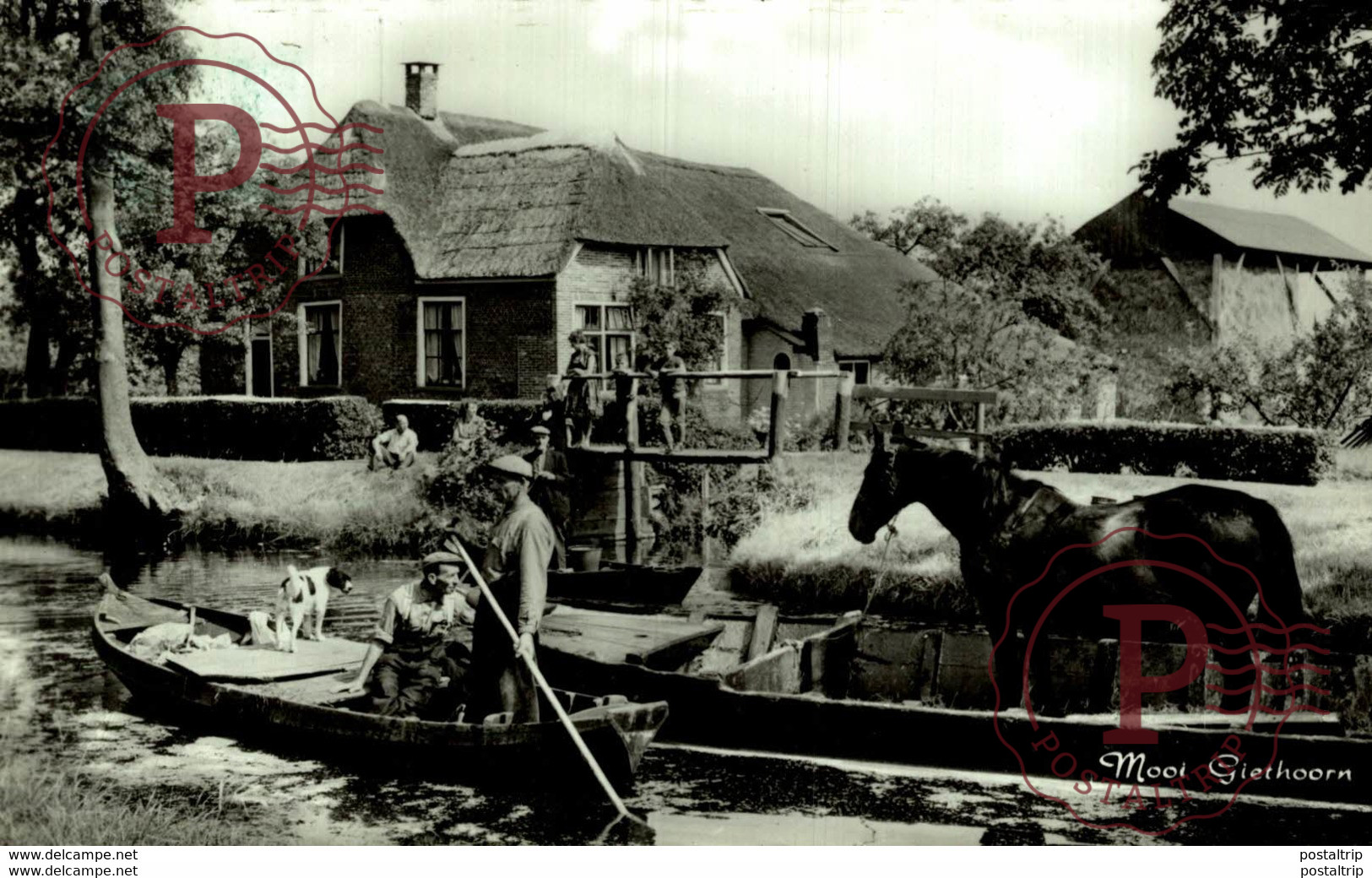 MOOI GIETHOORN - Giethoorn