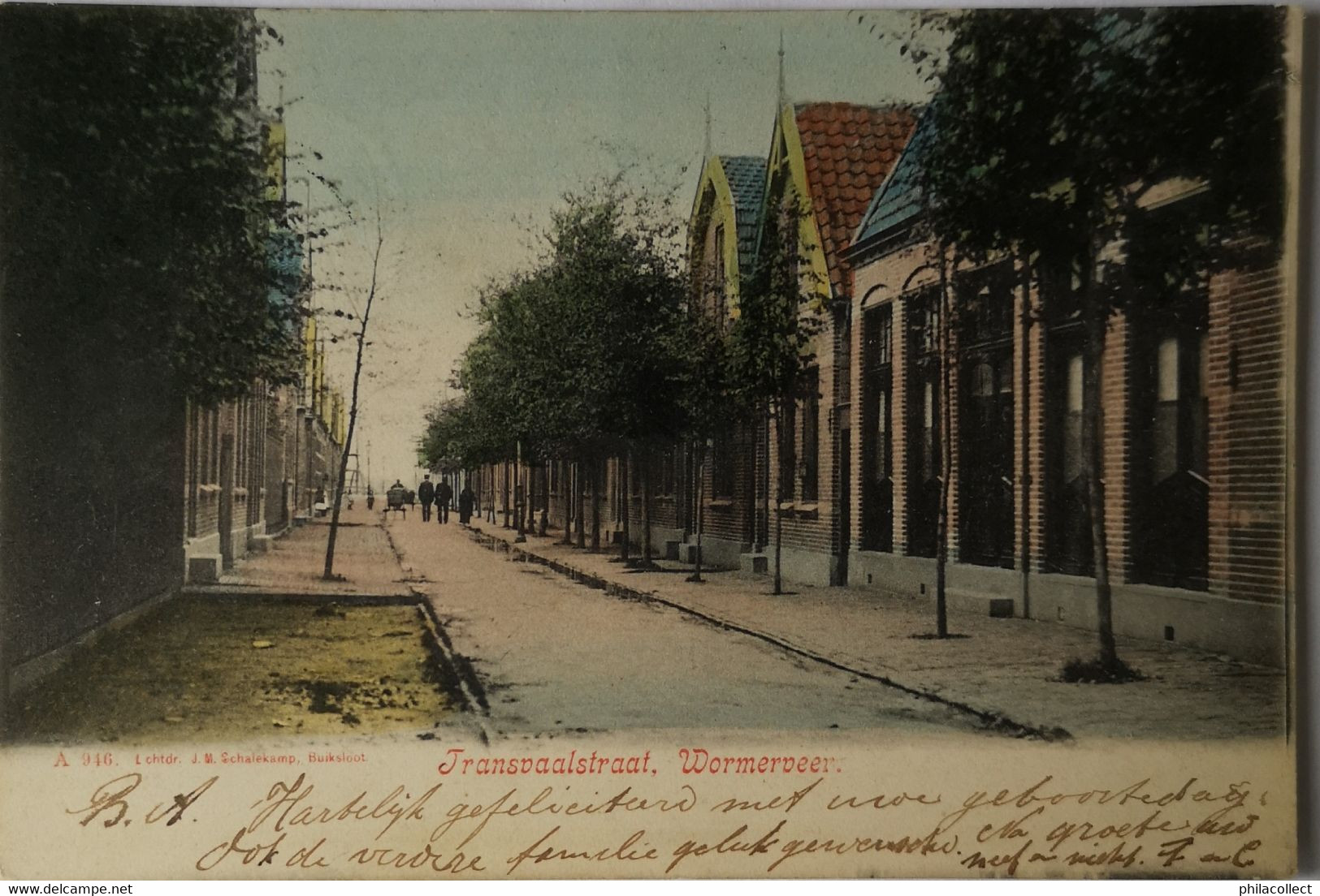 Wormerveer // Transvaalstraat (kleur!) 1906 Schalekamp /Zeldzaam - Wormerveer