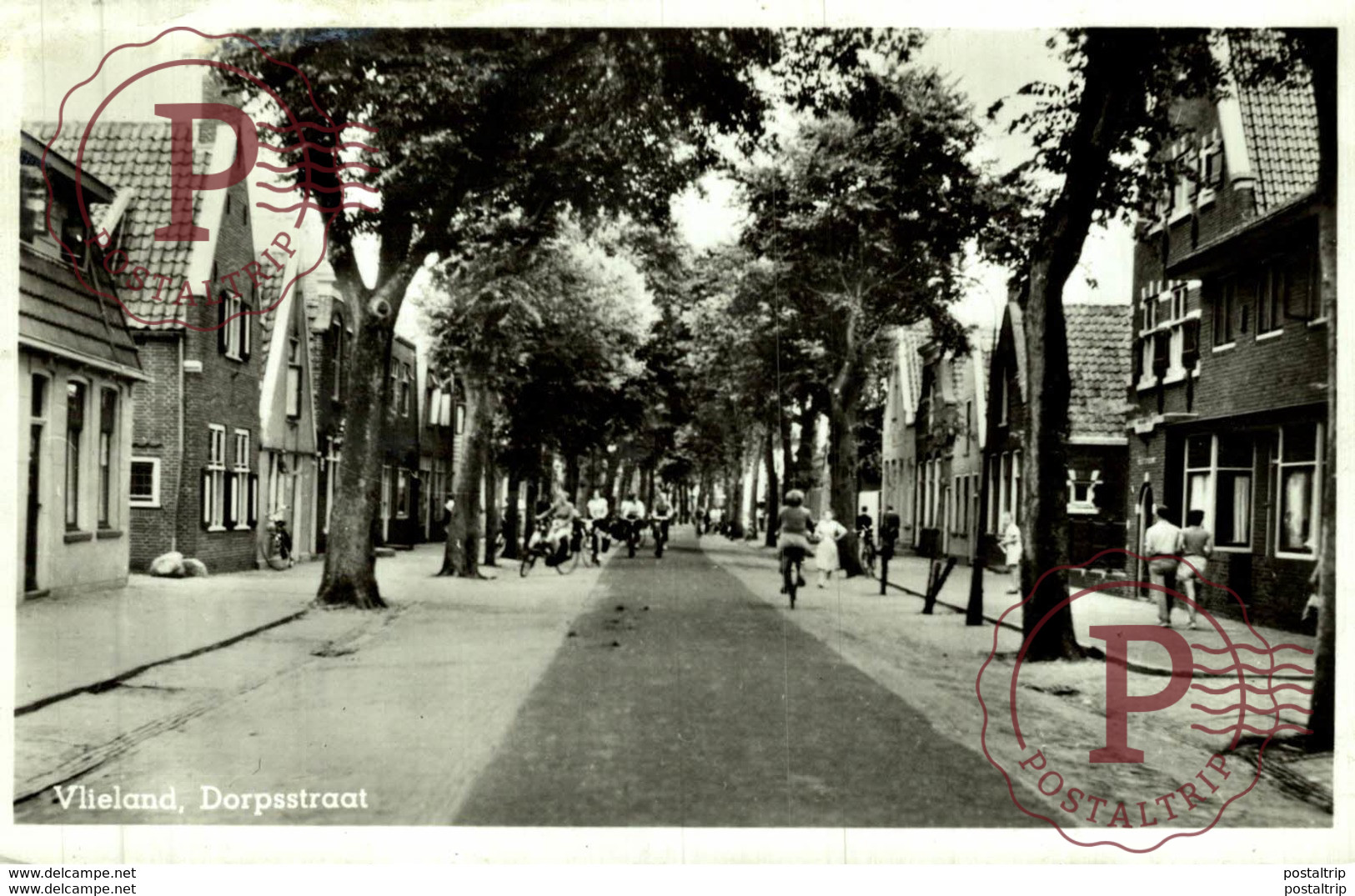 ECHTE FOTO VLIELAND DORPSSTRAAT - Vlieland